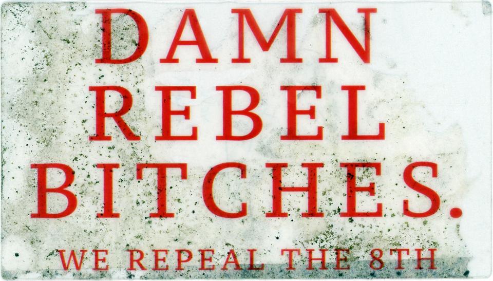 Damn Rebel Bitches. We Repeal the 8th